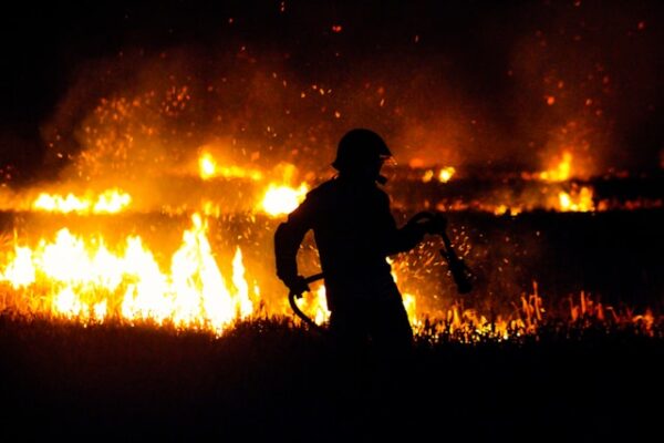 STF Determina Medidas para Combate a Incêndios na Amazônia e no Pantanal